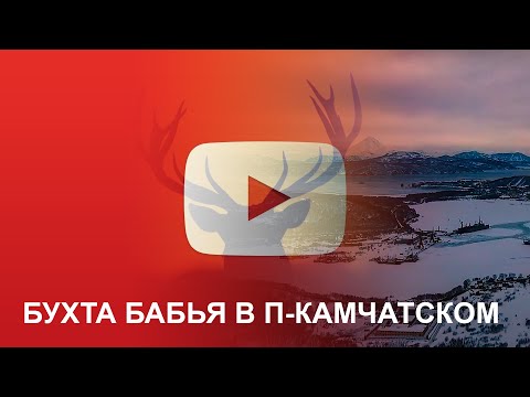 Видео: Бухта Бабья в Петропавловске-Камчатском | Аэросъемка