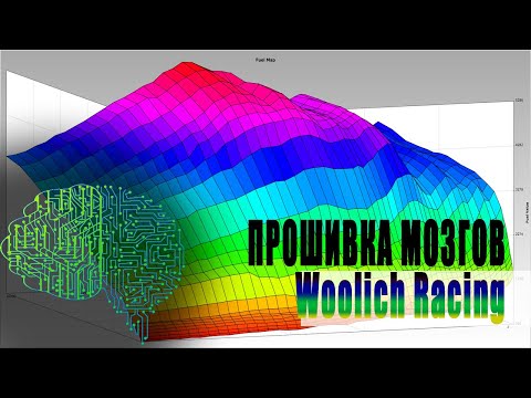 Видео: Прошивка мозгов мотоциклов через Woolich Racing