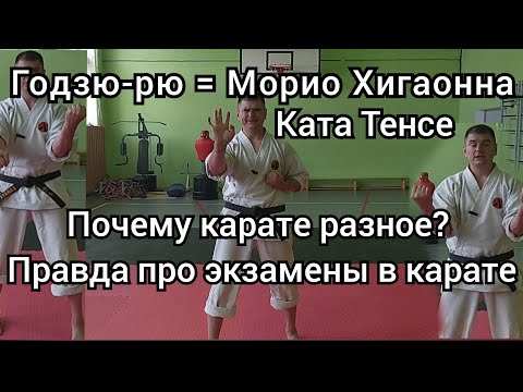 Видео: Ката Тенсе, стили Годзю-рю, экзамены по карате, как часто делать ката? Морио Хигаонна