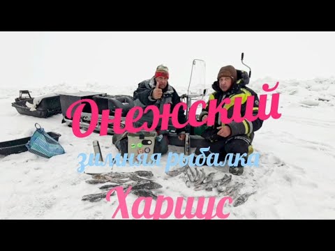 Видео: Онежский хариус зимняя рыбалка