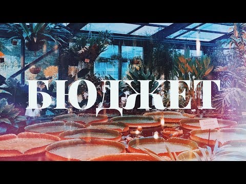 Видео: ПЕРЕВЕЛИ на БЮДЖЕТ в МГИМО!