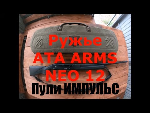 Видео: Пули ИМПУЛЬС 2 и ИМПУЛЬС 6. Отстрел по мишени.