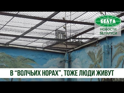 Видео: В "Волчьих норах" тоже люди живут