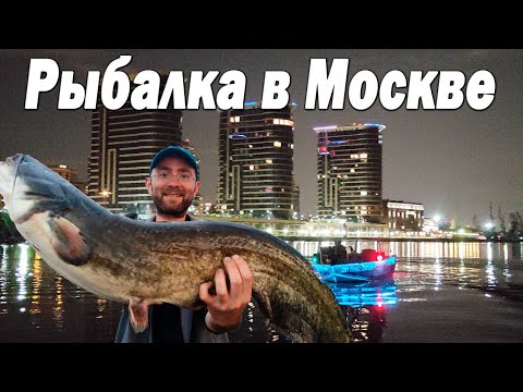 Видео: Рыбалка в МОСКВЕ. Когда все через ж.пу