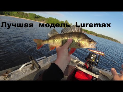 Видео: Лучшая модель Luremax