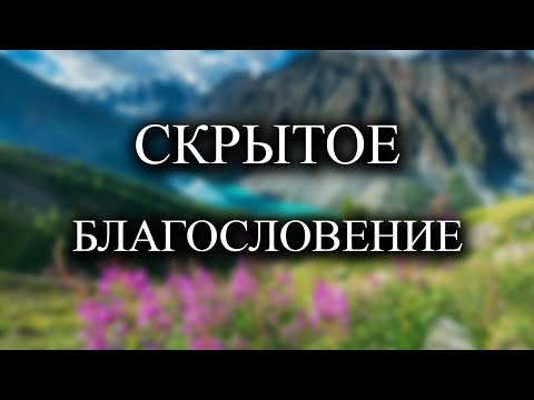 Видео: Все, что происходит, идет на пользу