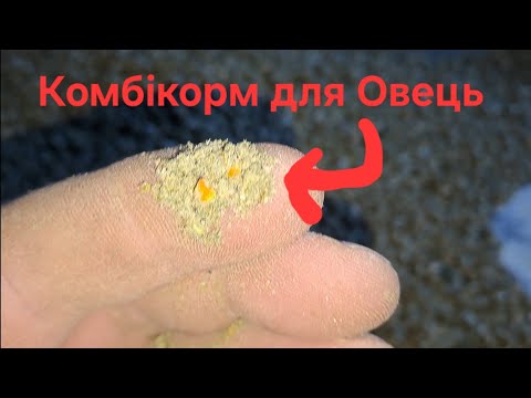 Видео: Комбікорм для Овець.