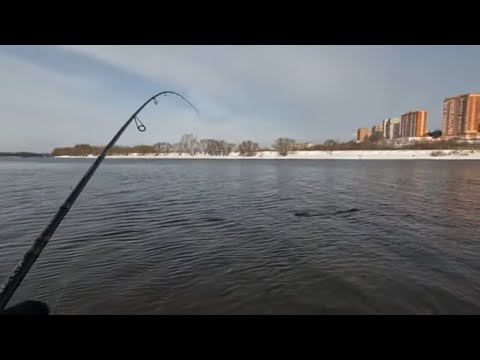 Видео: Рыбалка на спиннинг в феврале! Москва-река, зимний спиннинг!