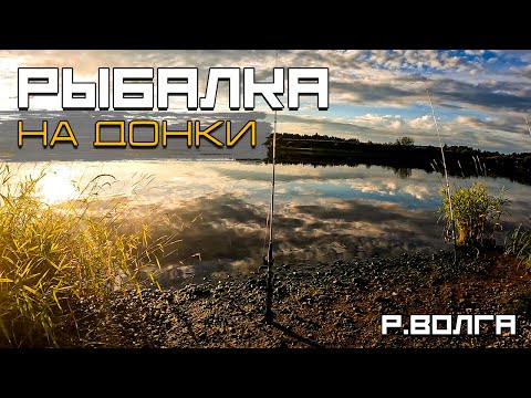 Видео: Рыбалка на ДОНКИ. Лещ на Крокодил!