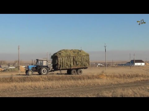 Видео: Атбасар.  История края.  Село Полтавка ( вторая часть )