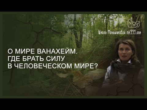 Видео: О мире Ванахейм. Где брать силу в человеческом мире?