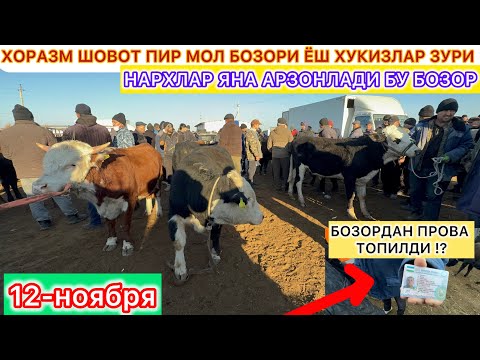 Видео: БОЗОРДАН ПРОВА ТОПИЛДИ ХОРАЗМ ШОВОТ ПИР МОЛ БОЗОРИ ЁШ ХУКИЗЛАР НАРХЛАРИ ЯНА АРЗОН БОЛДИ 12-ноября