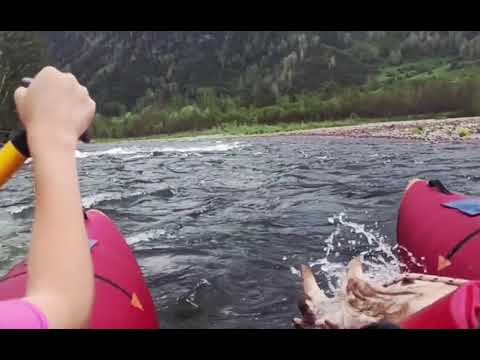 Видео: Алтайский край. Сплав по реке Чарыш (2к.с.) на "Кате".