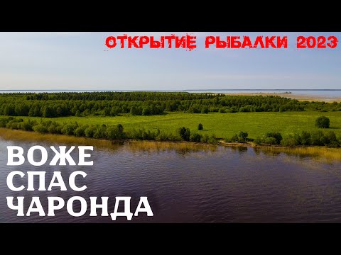 Видео: Воже, Спас, Чаронда. Открытие рыбалки 2023