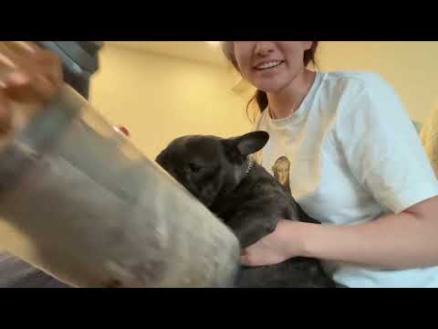 Видео: ЛУНА PREGNANT