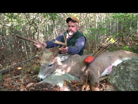 Видео: Традиционная охота с луком Big Buck Down