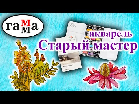 Видео: Обзор Акварель Гамма Старый мастер идеально для пленэров и Ботанической иллюстрации