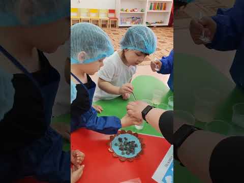 Видео: Мен  зерттеушімін "Юный исследователь"