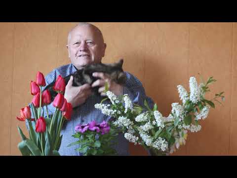 Видео: Мои секреты понимания роли микоризы в саду и огороде