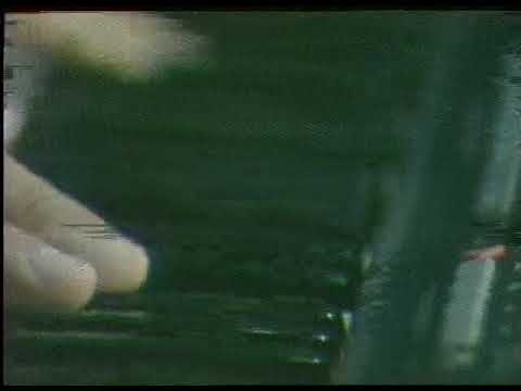 Видео: Ансамбль МИРАС. Жанат Юсупова.