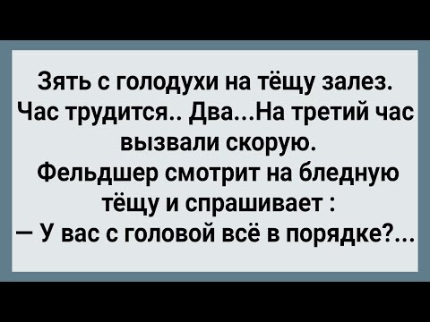 Видео: Зять с Голодухи На Тещу Залез! Сборник Свежих Анекдотов! Юмор!