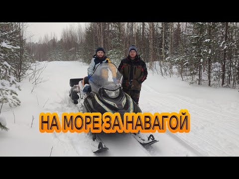 Видео: Рыбалка на навагу на Белом море