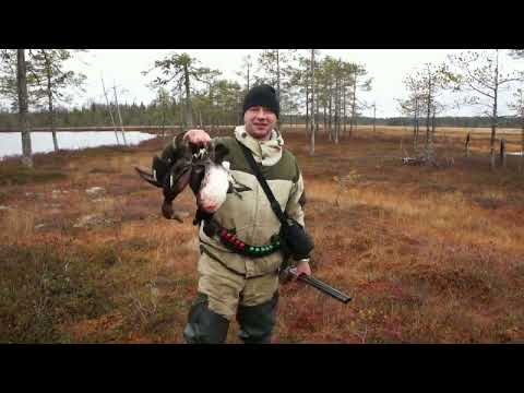 Видео: Фильм о том как мы осенью в тайгу ездили.