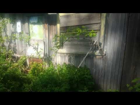 Видео: Сталк в доме с улицы призраков