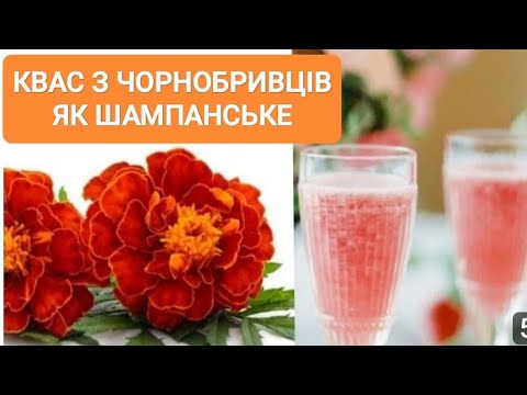 Видео: Цілющий напій з чорнобривців. Оновлений рецепт. Квас як шампанське