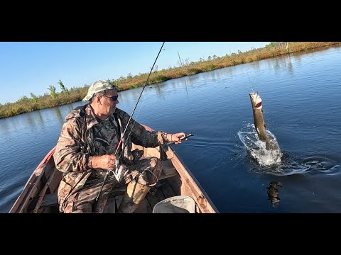 Видео: ОСТОРОЖНО! МНОГО РЫБЫ! ОЗЁРА ХМАО. НЕДЕЛЯ ВДАЛИ ОТ ЦИВИЛИЗАЦИИ!