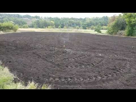 Видео: Посев воздушной бульбочки. Подготовительные работы к посадке чеснока.