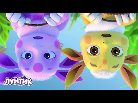 Видео: Лунтик | Вверх ногами | Сборник мультиков для детей