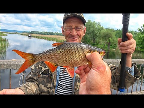 Видео: Рыбалка на ПОПЛА-ПОППЕР снасть#1 для всех! ЗАЧЕМ ВСЕ ПОКУПАЮТ ЭТУ СНАСТЬ и КАК на НЕГО ЛОВИТЬ