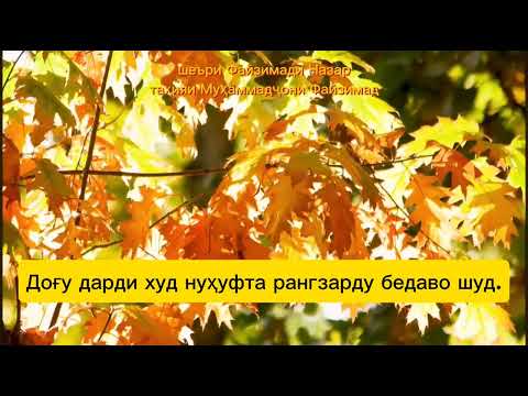 Видео: Суруд дар васфи фасли тирамоҳи заррин / Песня о золотой осени / шеъри Файзимади Назар
