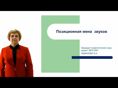 Видео: ИПО Камалова Л.А. - Позиционная мена гласных и согласных звуков