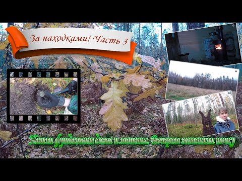Видео: За находками по Карельскому перешейку-3. Нашли фундамент дома, монеты. Вечером затопили печку