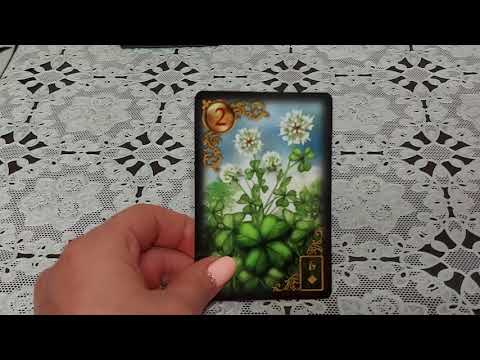 Видео: Карта -КЛЕВЕР🍀-любовь,финансы, работа-основные значения карты🌍Марина.Мир-ЛЕНОРМАН💕