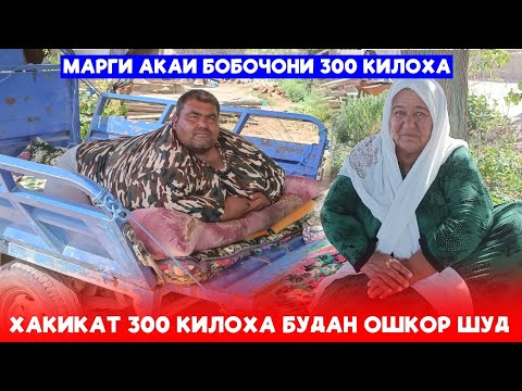 Видео: Срочно бинед Марги бобочони 300 килоха?Хакикати 300 килоха будан ошкор шуд