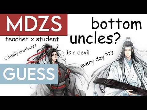 Видео: догадки о MDZS