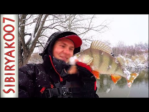 Видео: Трофей ПЕРВОГО снега! .. Зимний спиннинг. Рыбалка на микроджиг