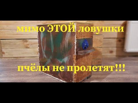 Видео: СЕКРЕТЫ ЛОВУШКИ ДЛЯ ПЧЁЛ!!!ИЛИ КАК ЛЕГКО И БЫСТРО ПОЙМАТЬ ПЧЁЛ!!!