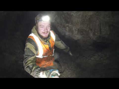 Видео: Пещеры: Телези: Лесная