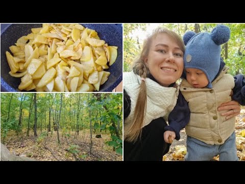 Видео: Новая плита и духовка. Жареная картошечка. Купила Адидас. Гуляем по осеннему лесу. День пердень🙈