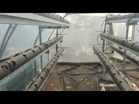 Видео: Разобрал клубничную малообъемку!!! Что дальше....