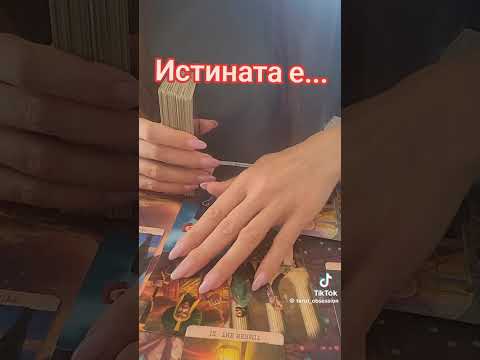 Видео: 24 октомври 2025 г.