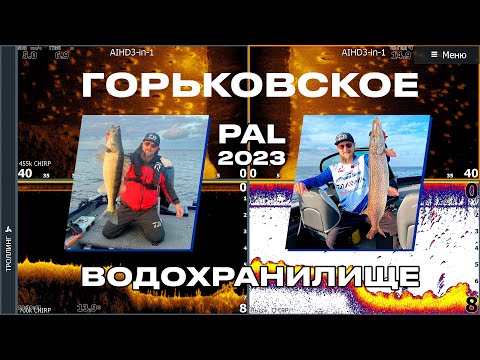 Видео: Что показывает эхолот? Горьковское водохранилище. PAL 2023