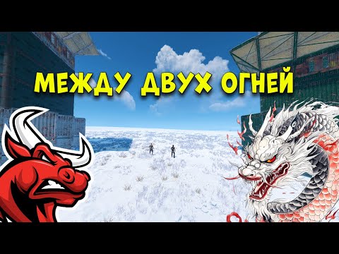 Видео: Мы НЕДЕЛЮ ВЫЖИВАЛИ между КИТАЙСКИМ и ИСПАНСКИМ КЛАНАМИ в РАСТ RUST