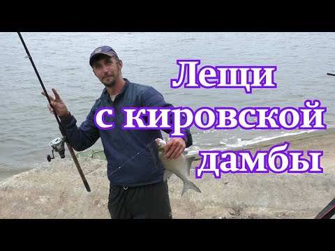 Видео: Лещи кировской дамбы. Где  поймать в Казани.