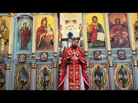 Видео: Кой иска да живее вечно? За свети Козма Зографски