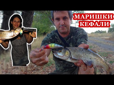 Видео: Улов на Речни КЕФАЛИ при ТЕСТA на Дебели, СОМСКИ Воблери //  River Chubs While TESTING CATFISH Lures